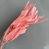 Fuchsia, 100 gram