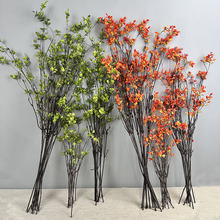 ?С���~ ����ʽ��֦�����~�L֦��֦�ٸ�֦�Ҿ����P�b[��