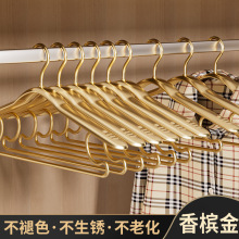 家用轻奢风铝合金衣架防变形半圆晾衣架无痕防鼓包晾晒架收纳衣架