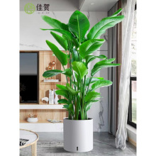 BֲBļQm҃ȾGֲkļBֳS