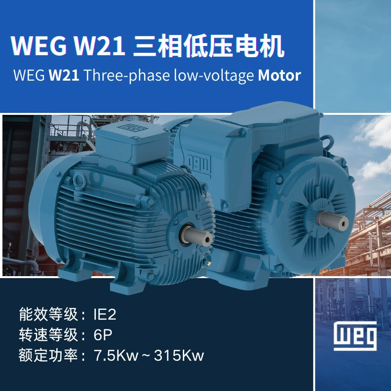 Высокоэффективный трехфазный асинхронный низковольтный двигатель Wangao WEG IE2 6P для трансграничной экспортной торговли мощностью 7,5 кВт~315 кВт