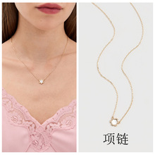 �W���r���Ʒ Tϵ�к��sͨ�ڽ�ɫ��ɫؐ�����껨�������i���