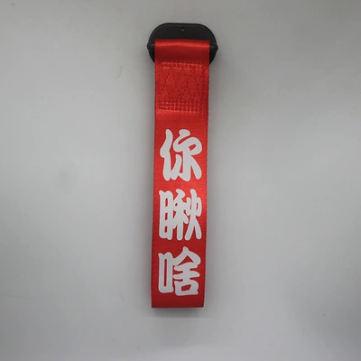 Trailer Rope Front Sticker Ribbon: Trailer rope/net/strap - reflective-words-what-are-you-looking-at