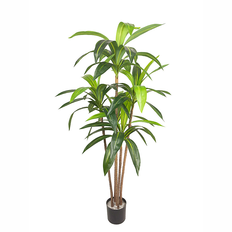 European-style light luxury articial brazilwood green plan