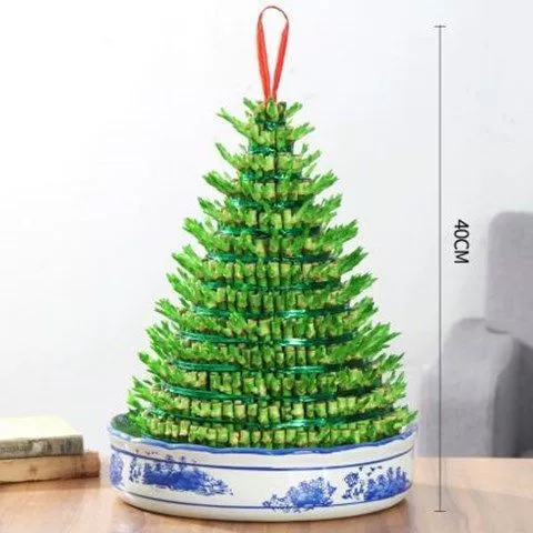 Богатый бамбук привлекает богатство, бамбук становится выше, гидропонные растения подходят для зеленых растений в гостиной, цветов в горшках, комнатных цветов.