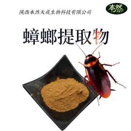 蟑螂提取物50:1蟑螂提取物美洲大蠊提取工厂批发小强提取物