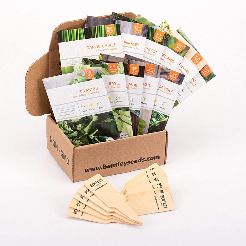 亚马逊新手创意种子入门套件阳台花园种植种植套装药草园种子