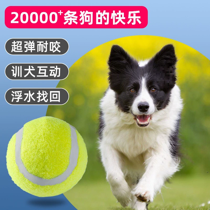 Теннисный мяч для собак породы Голден Ретривер, корги, для прорезывания зубов, мяч для снятия скуки, резиновый мяч, игрушка для самостоятельного обучения собаки, бордер-колли