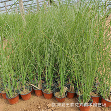 ���~�â���ػ��~â��  ���̾G��ˮ���ر��^�p�ݶ�����ֲ�：�~â