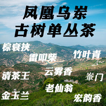 �����P�ˆ΅��Ϙ��ΏĹŘ������̽����m�ηN��ߵ�񰼸���Θ����~