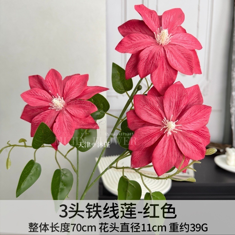 클레마티스 3개 2