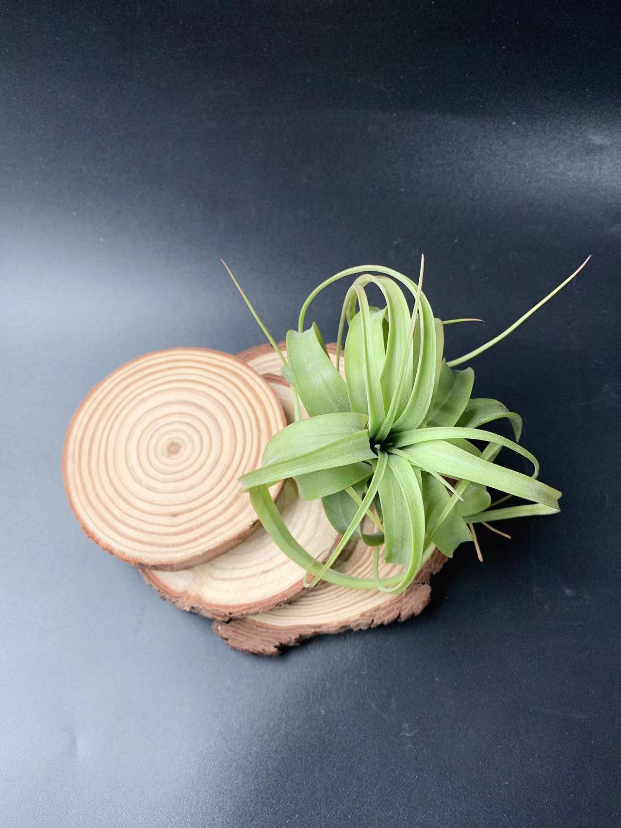 微信图片_20240229123104