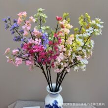 ������Ʒ�������ǲݝM���ǻ�Y�û�c�Ҿӱ����������bɴ��l؛