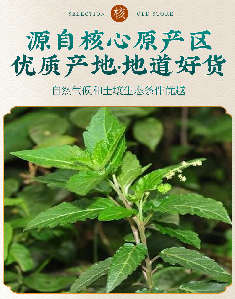 Wild Tou Gu Cao Dried Herb 500g Traditional Chinese Bone-Knot Grass for Foot Soak and External Herbal Use overview