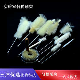 试管刷烧杯刷量筒刷容量瓶刷三角烧瓶刷移液管刷滴定管刷天平刷
