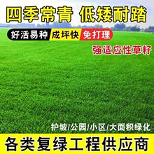 ��ƺ�N�Ӳݻ��N���ļ������޼��G�������o�²�ƺͥԺ�G��Ұ���N��