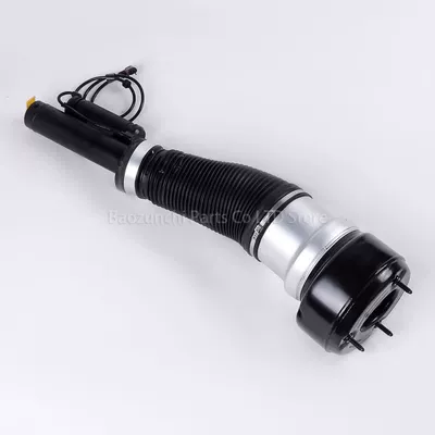 Shock Absorber Assembly – damping system