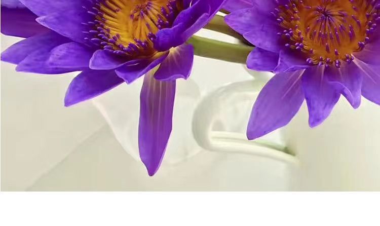 5ee20f5f-90af-4985-82cc-d01b9e863a82.jpe