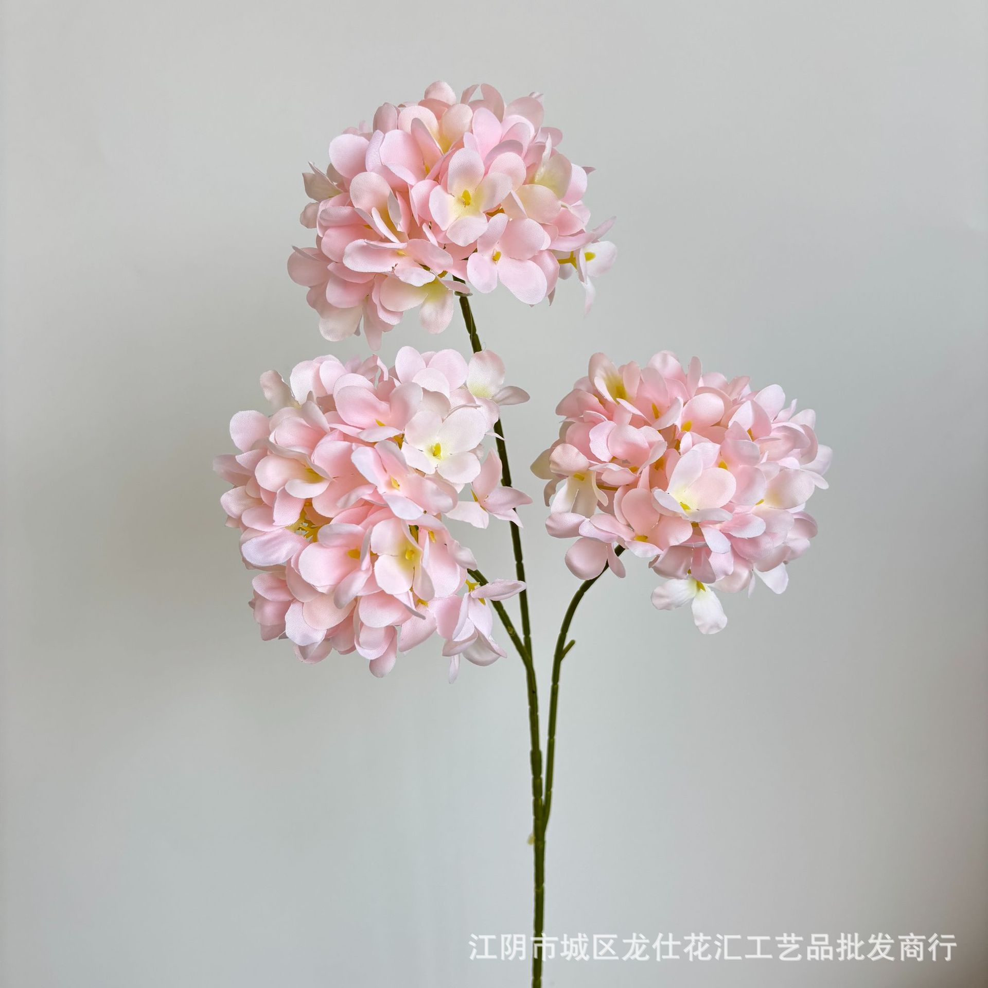 분홍색