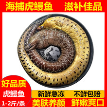 ʮ������r��������1-10��1�l���^�������R�������ʯ��������