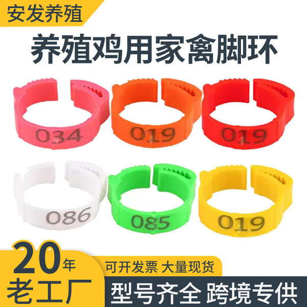 adjustable universal ankle bracelet