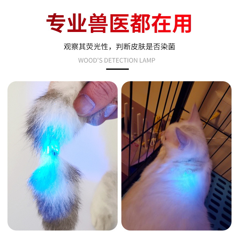 Lámpara especial de tinea felina espejo negro 365 luz ultravioleta aflatoxina ultravioleta fluorescente verificación de billetes led linterna de carga
