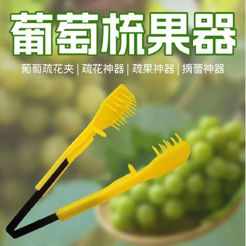 포도 꽃 빗 [3개 팩]