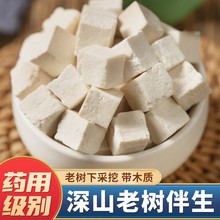 云南原产地茯苓滇白茯苓云苓丁茯神中药材茯苓采摘晒干药食同源