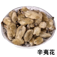 ���Ļ����Ļ���ë�����m�����Ļ�����ă����l�䱳������ș������