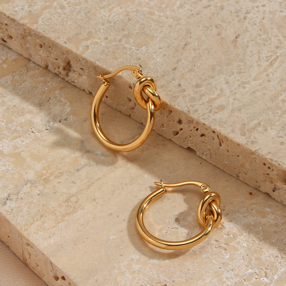 Simple Style Circle Stainless Steel Earrings Plating Stainless Steel Earrings display picture 3