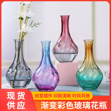 维利斯塔北欧创意玻璃花瓶小口插花器彩色渐变透明水培桌面小花瓶