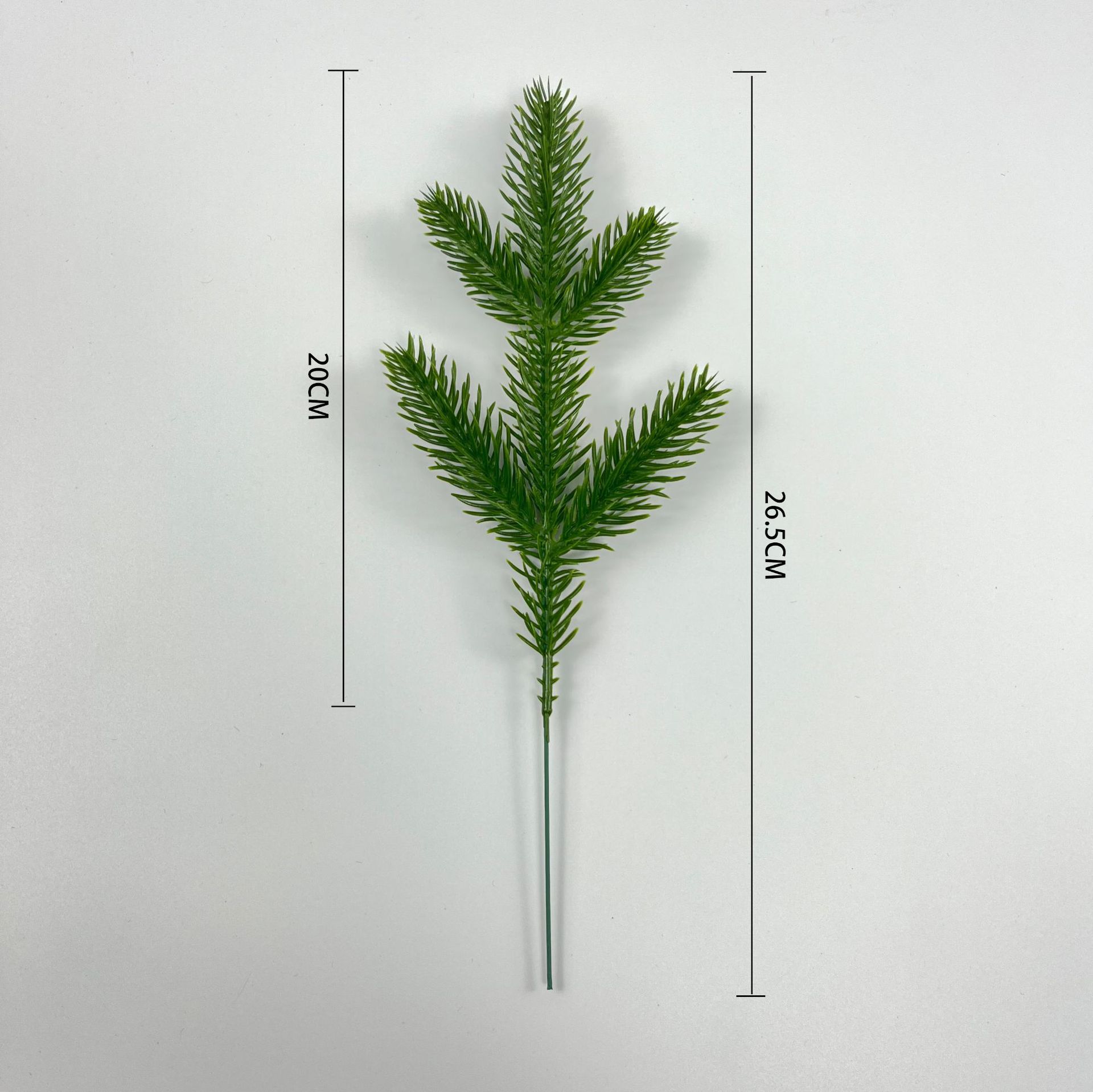 작은 다섯 갈래 소나무 바늘-분말 없음