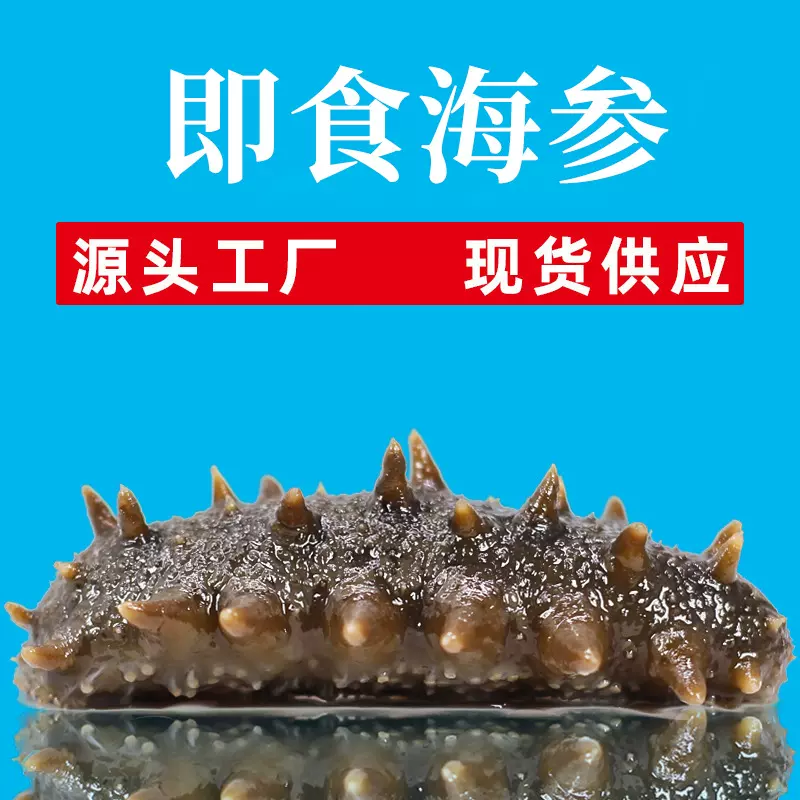 自有工厂现货批发代发大连鲜食海参筋道口感辽刺参500克即食海参