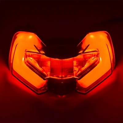 turn signal assembly, Motorcycle tail