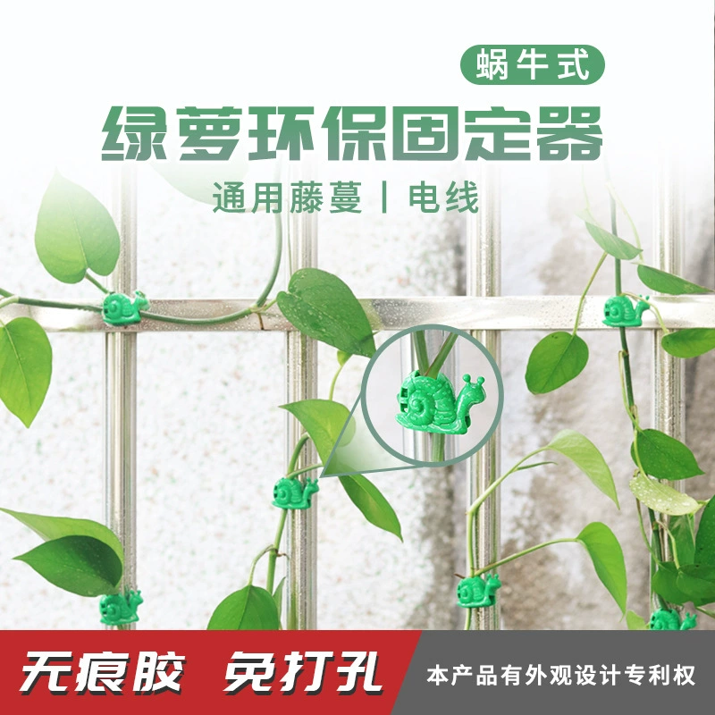 Держатель для растений в форме улитки, зеленый, для вьющихся растений, самоклеящийся, без гвоздей, настенный крючок для организации проводов и крепления на стенах.