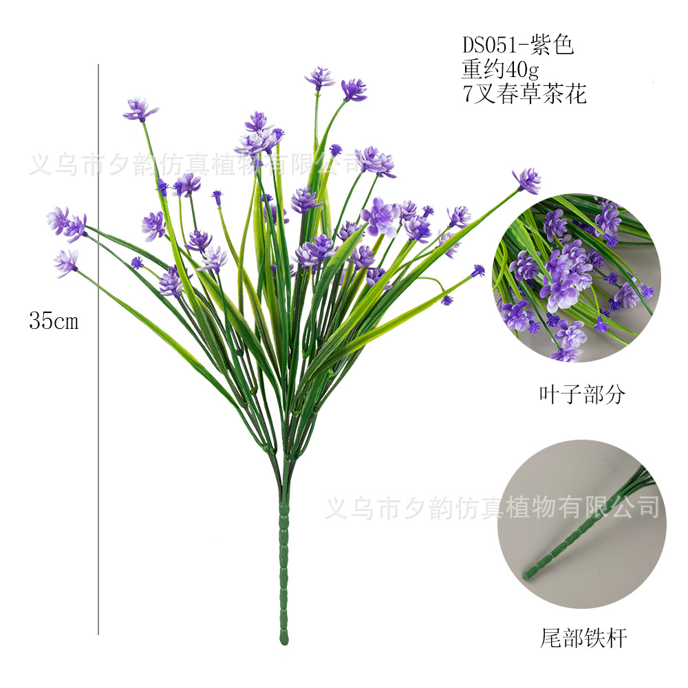 DS051-보라색 7갈래 봄풀 동백