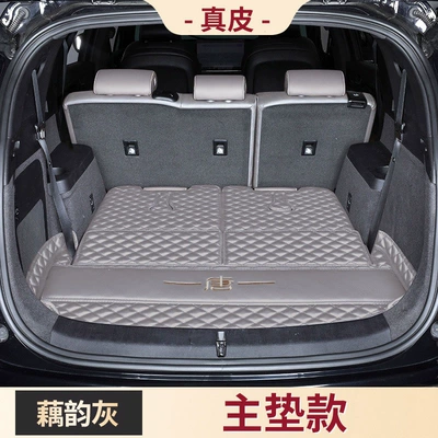 2024 Tang EV Tang DMp — Trunk Mat - -default-item