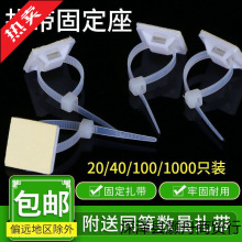 100ֻ�����������N늾��̶�����ᔠ��W���̾������������̶���