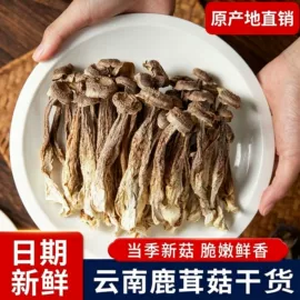 其他干货;蘑菇;香菇