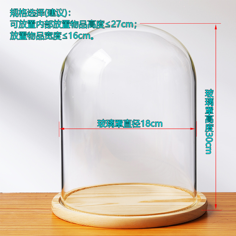 Cubierta cilíndrica de vidrio transparente sin lámpara de madera de estilo inmortal cubierta de polvo de flores hecha a mano decoración creativa de escritorio de bloques