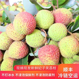 桂圆干;荔枝;干果生货