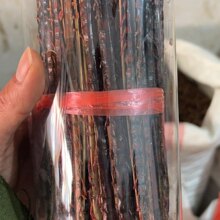 湖北大条蜈蚣 10条蜈蚣干货 药店诊所用大蜈蚣大蜈蚣深山包邮真货