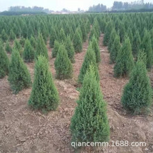 �ɰؘ����ɘ���Ȱر�؈A�����،�����������G����ľĹ���ļ���