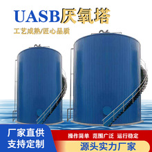 酒精废水处理厌氧反应器 高浓度污水生物厌氧塔 三相分离器