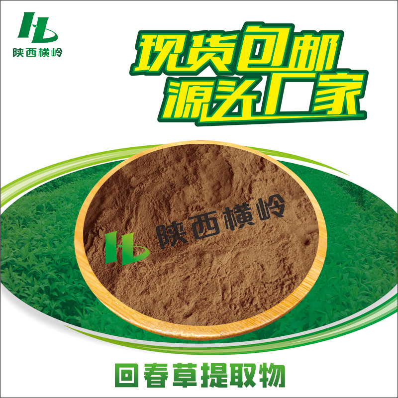 回春草提取物30:1 50:1回春草粉 厂家供应 回春草萃取 水溶性现货