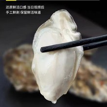 生蚝肉鲜冻牡蛎海鲜水产烧烤自助火锅整箱商用批发