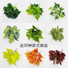 ����Gֲ ֲ�����쾰�����G�}�ٻ����ԼپGֲ���l