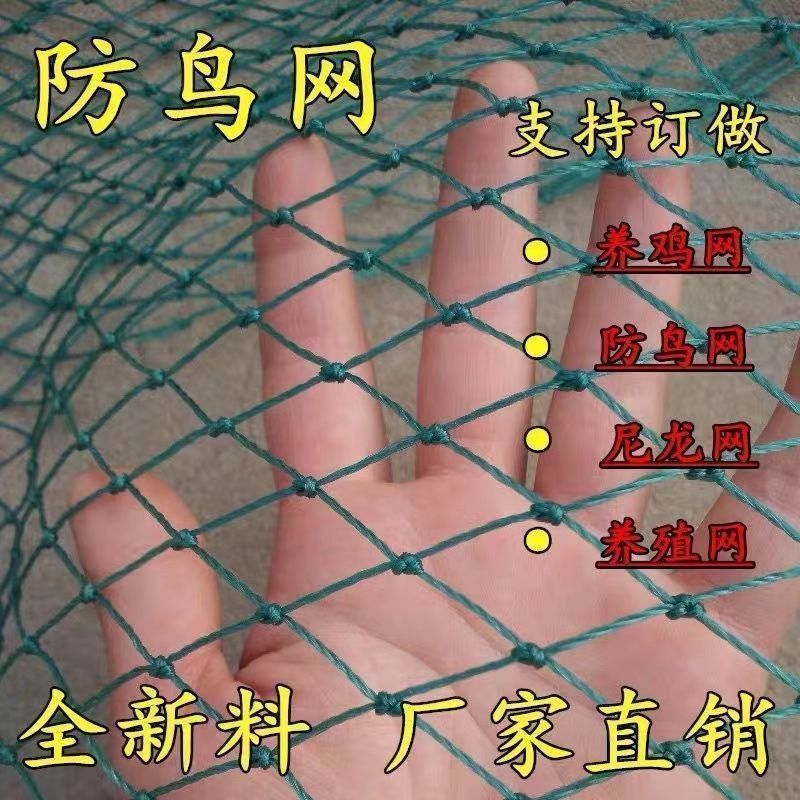 防鸟网新料抗老化大棚通风口鱼塘樱桃天网养鸡围栏葡萄莓防护网