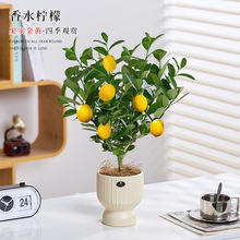 ��ˮ���ʘ䙎�����Կ�ʳ�û��ܘ���ֲ��Gֲ�����҃��̨�ļ����B