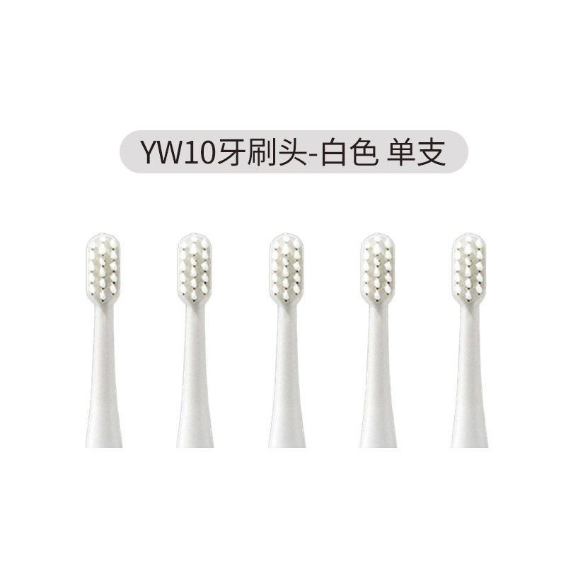 액세서리 YW10 칫솔 - 칫솔모 - 화이트